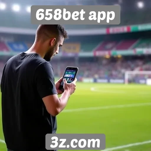 Avaliação da experiência do usuário no 658bet app